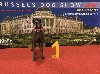  - Brussels Dog Show