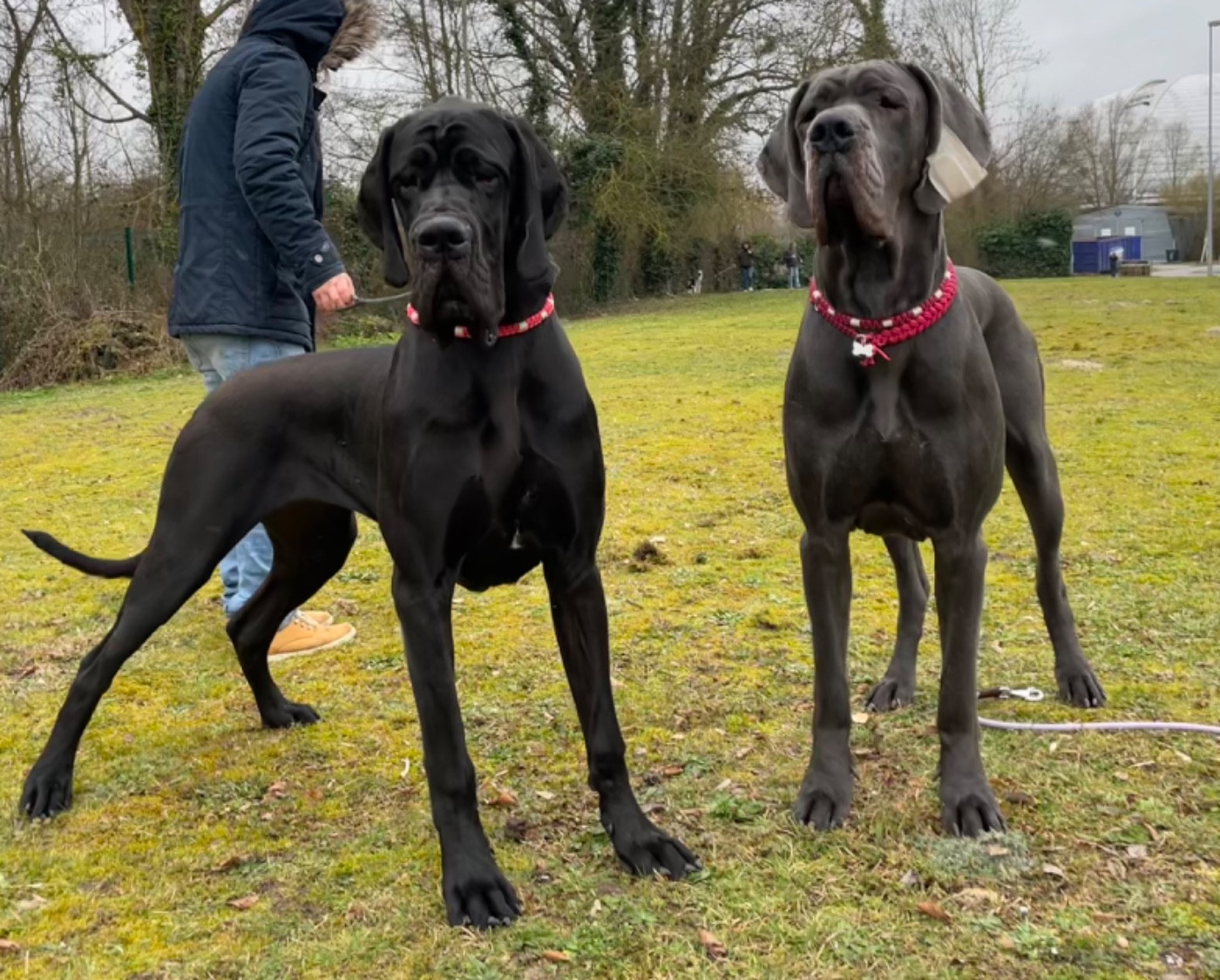 Exposition nationale d Amiens et Cambrai