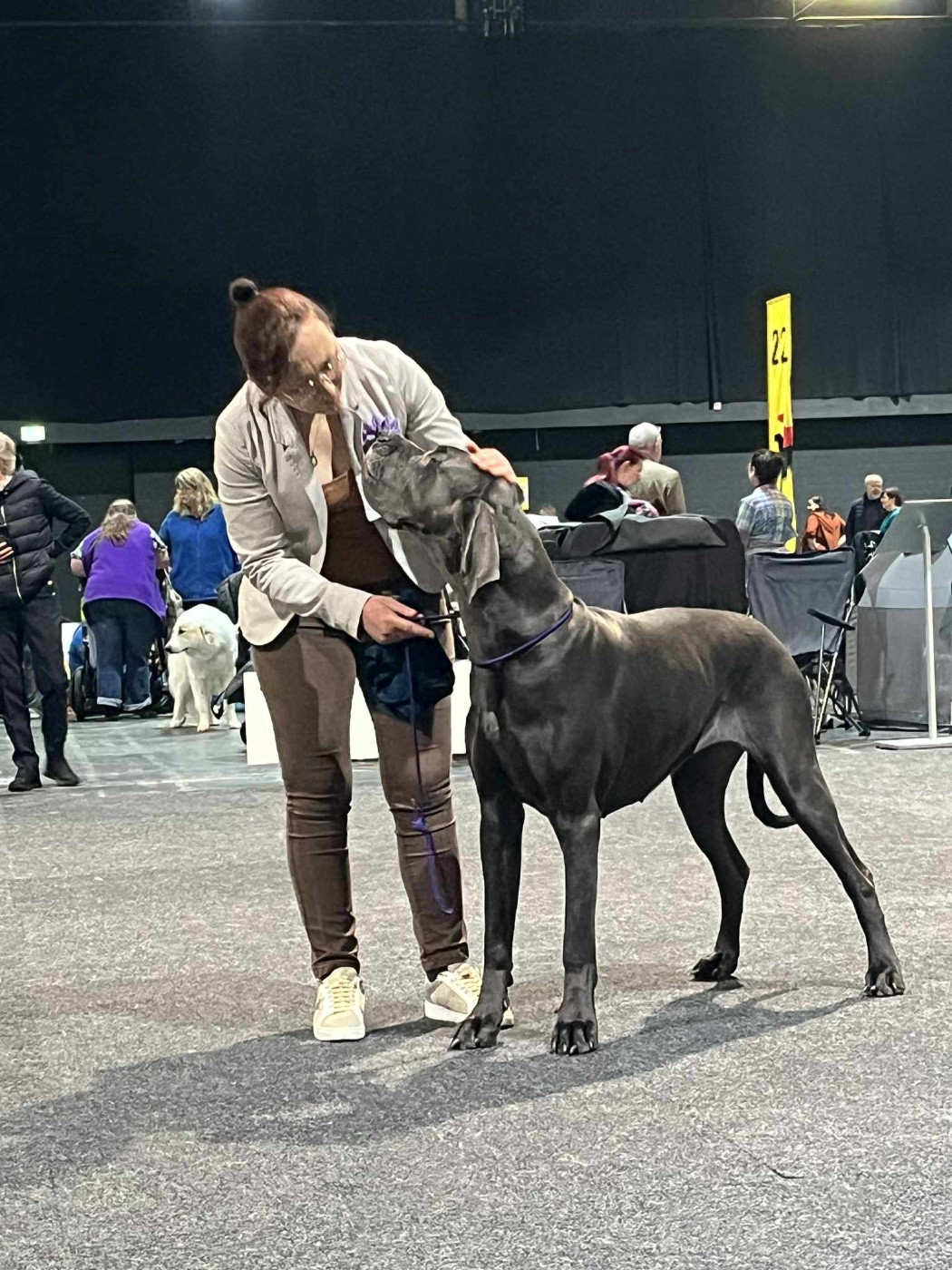 de la Côte Septentrionale - Exposition internationale d Offenburg (Allemagne)